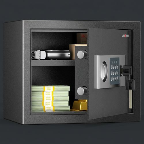 Locksworth 0.6 Cu Ft Home Safe